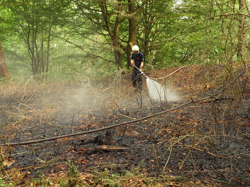 Waldbrand Bergisch Gladbach Bensberg P051.JPG